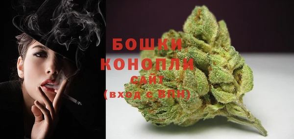 молекула духа Дмитровск