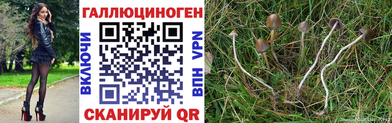 купить наркоту Можга OMG вход Псилоцибиновые грибы мухоморы