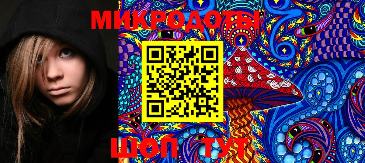 Галлюциногенные грибы мицелий Можга