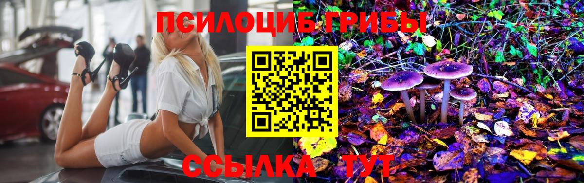 Можга  Галлюциногенные грибы мухоморы  Галлюциногенные грибы Psilocybine cubensis  Вход с VPN 